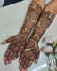 Bridal Henna: A Tale of Elephants and Peacocks Under the Golden Dome