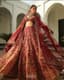 Crimson Majesty: A Bride's Opulent Descent into Forever