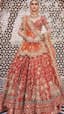 Sun-Kissed Heritage: A Bridal Lehenga Whispering Tales of Royalty