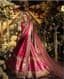Crimson Blossom: A Bride's Regal Descent into Forever